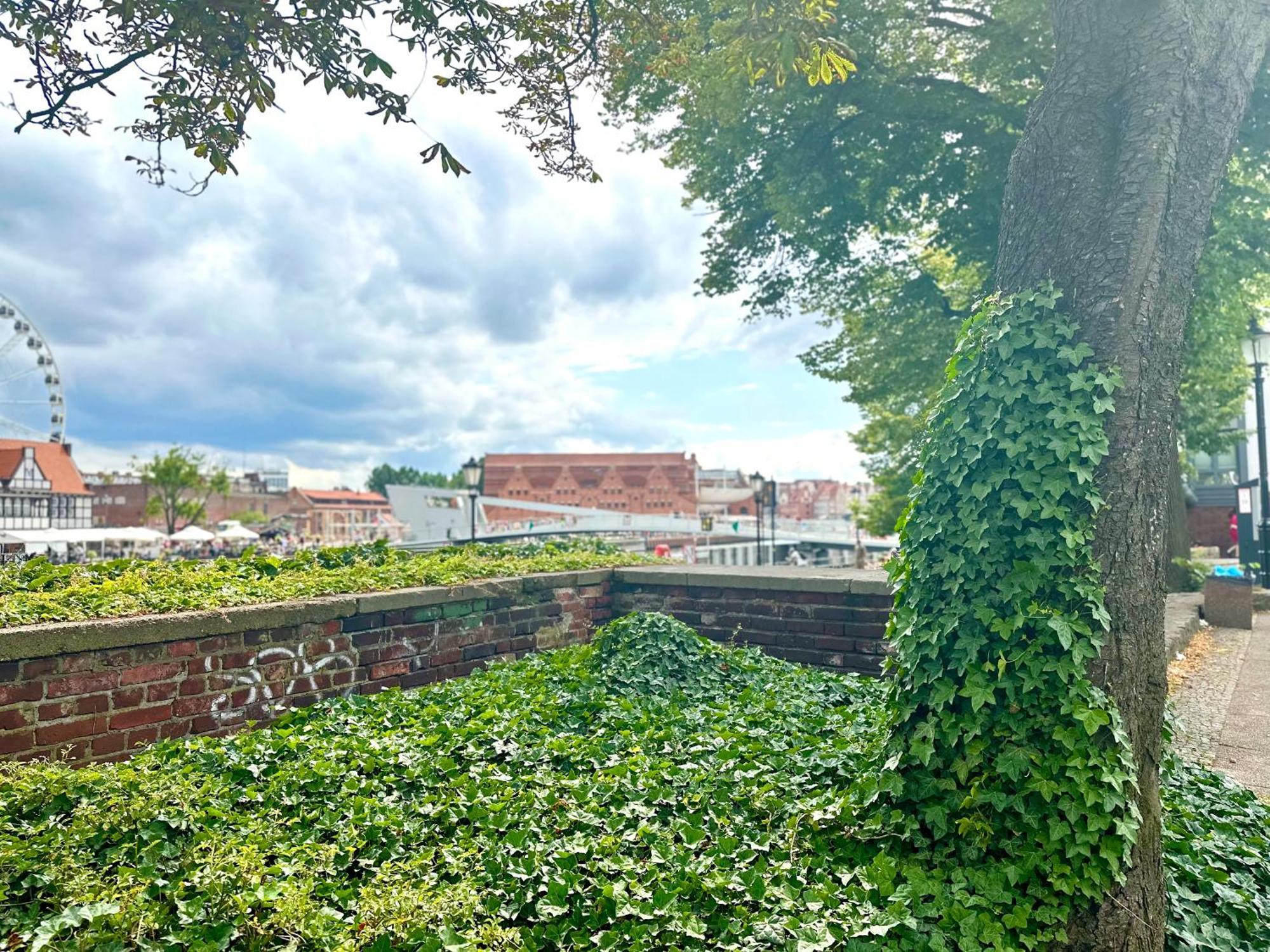 Mmrent Valley Room Gdańsk Zewnętrze zdjęcie